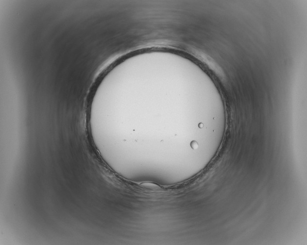 X0000110931316200907161531