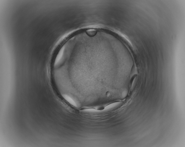 X0000110931319200907161531