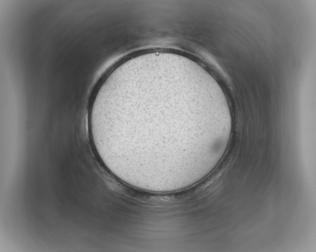 X0000110931320200907161531