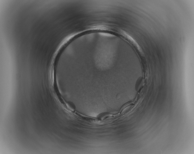 X0000110931323200907161531