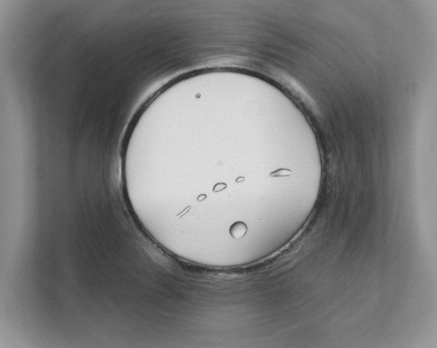 X0000110931324200907161531