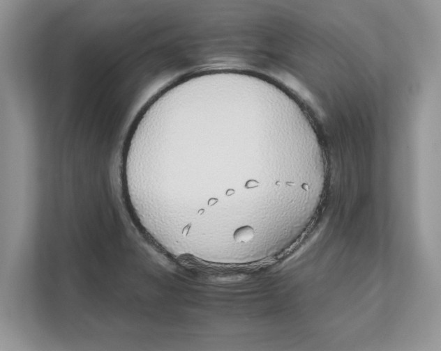 X0000110931325200907161531