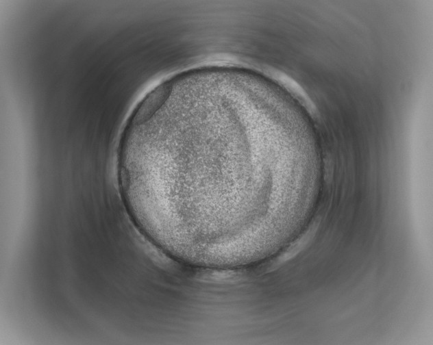 X0000110931326200907161531