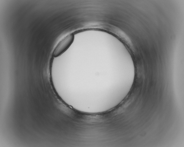 X0000110931328200907161531