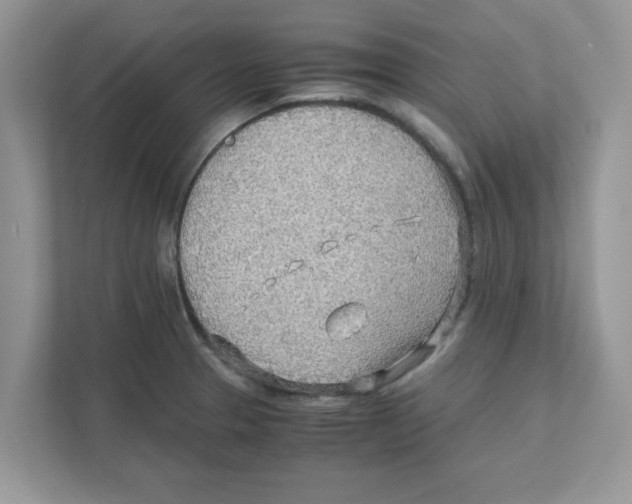 X0000110931329200907161531
