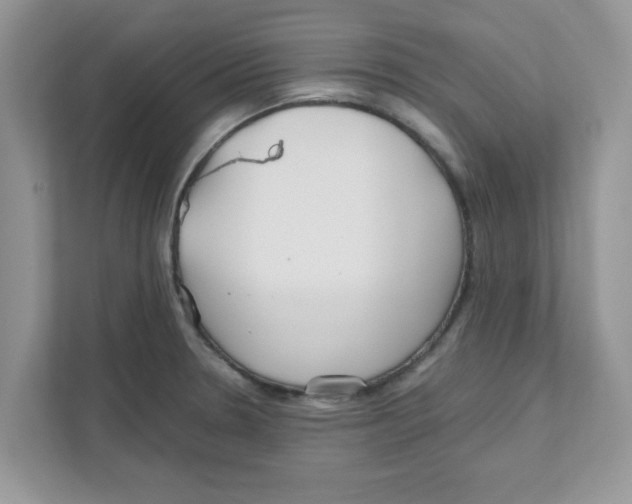 X0000110931330200907161531