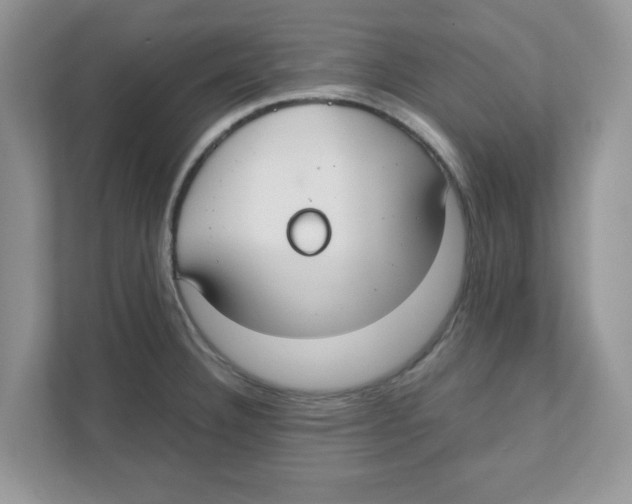 X0000110931332200907161531
