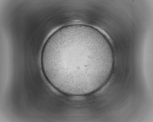 X0000110931333200907161531
