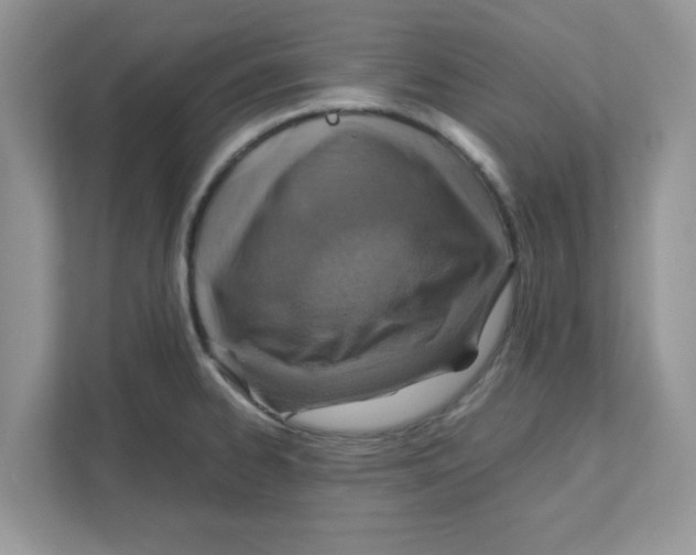 X0000110931334200907161531