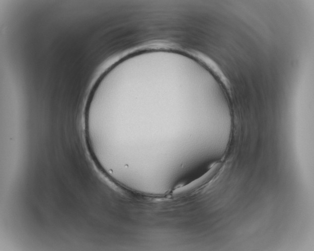 X0000110931335200907161531