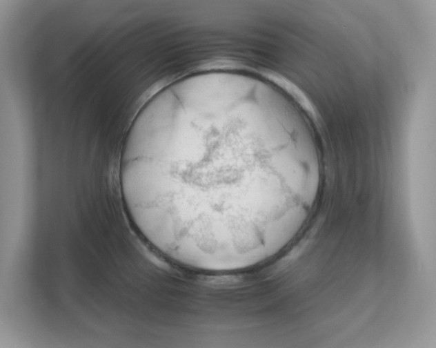 X0000110931337200907161531