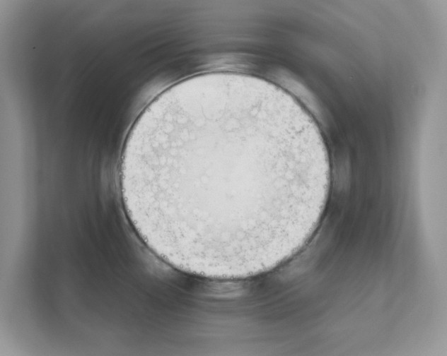 X0000110931338200907161531