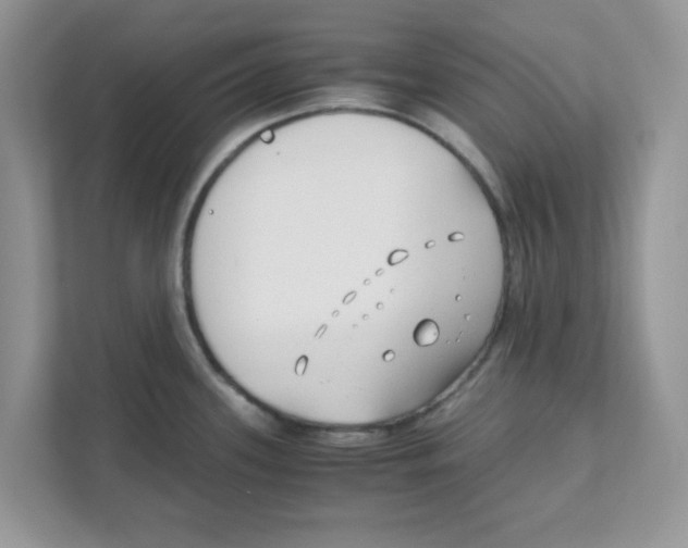 X0000110931339200907161531