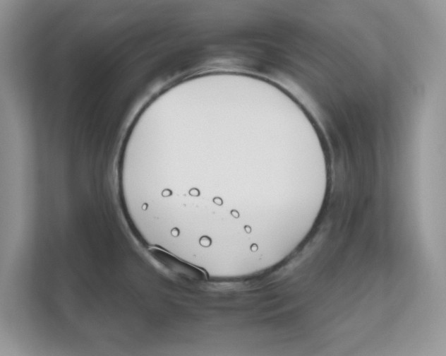 X0000110931341200907161531