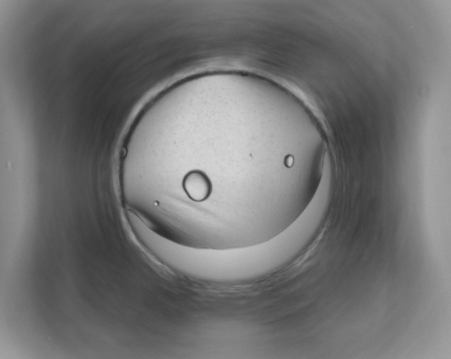 X0000110931342200907161531