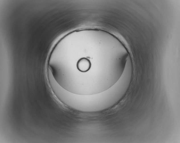 X0000110931344200907161531