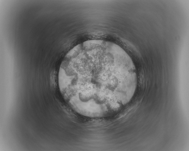 X0000110931346200907161531
