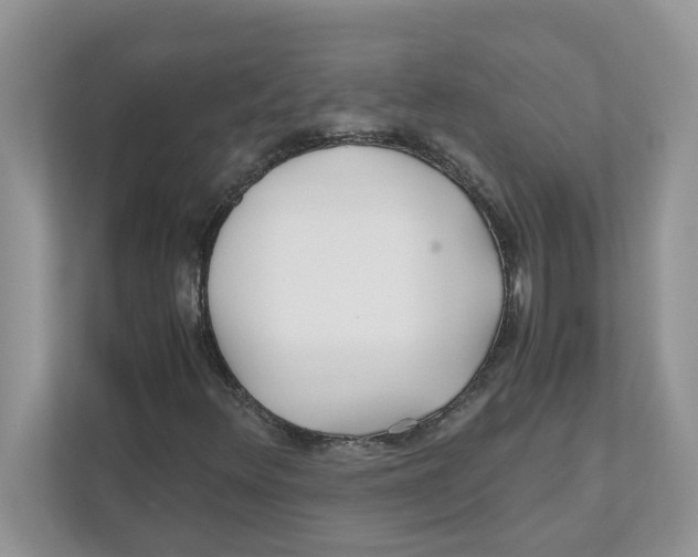 X0000110931348200907161531