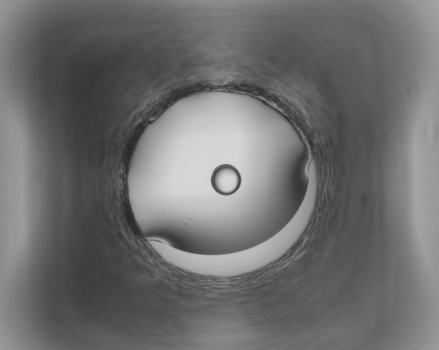 X0000110931349200907161531