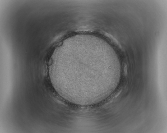 X0000110931350200907161531