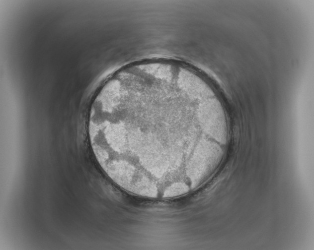 X0000110931359200907161531