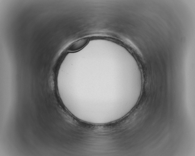 X0000110931360200907161531