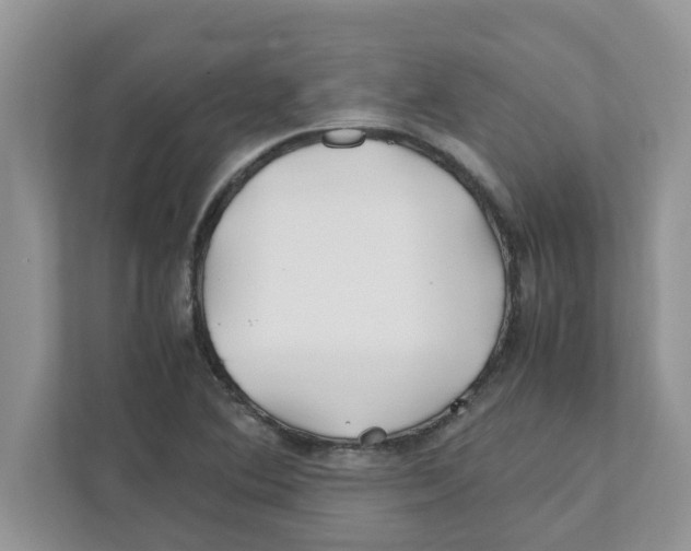X0000110931364200907161531
