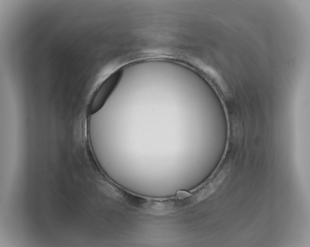 X0000110931365200907161531