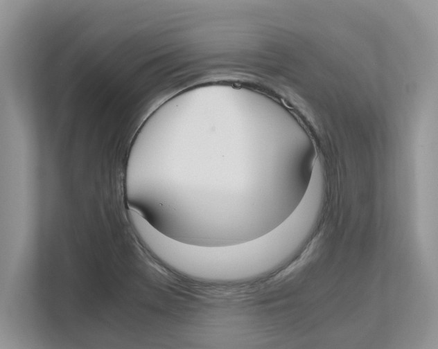 X0000110931369200907161531