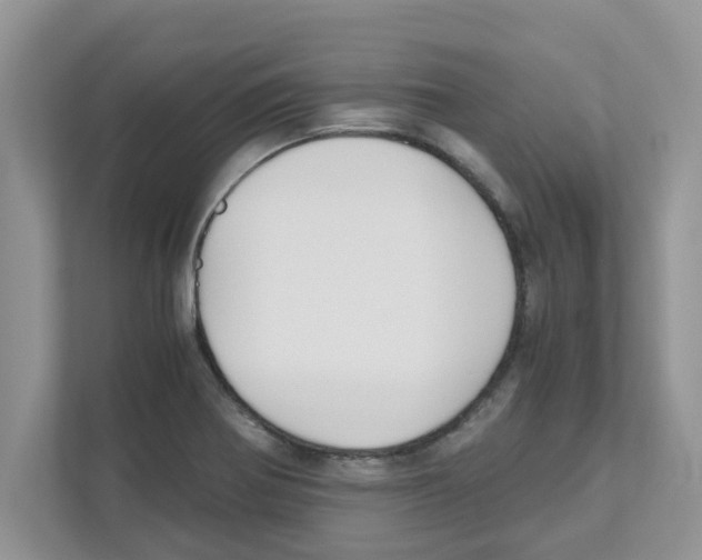 X0000110931370200907161531