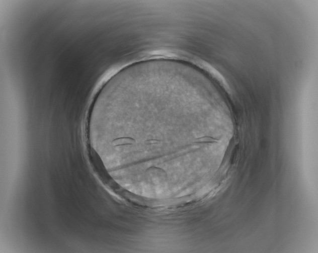 X0000110931373200907161530