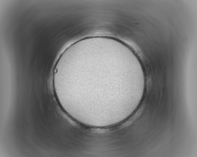 X0000110931374200907161530