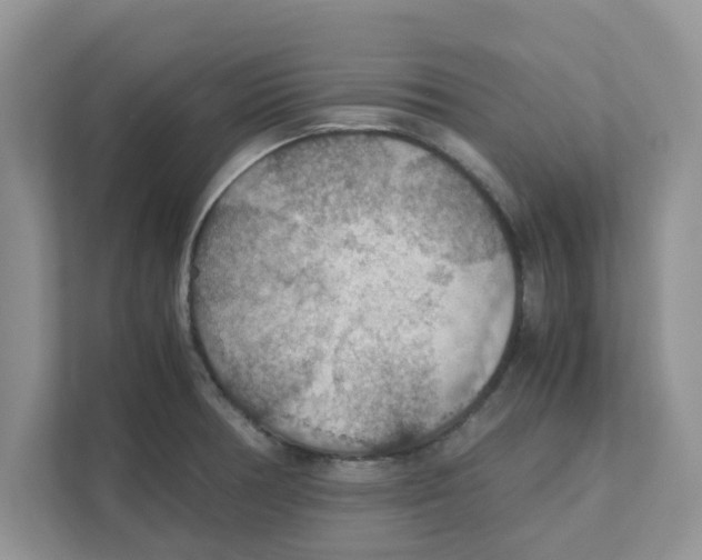 X0000110931378200907161530
