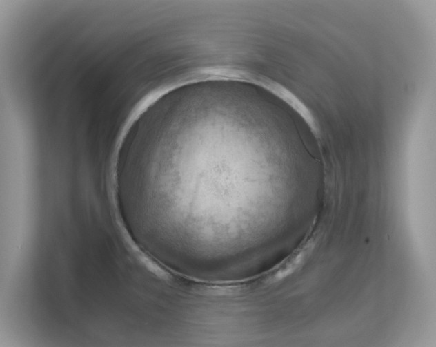 X0000110931381200907161530