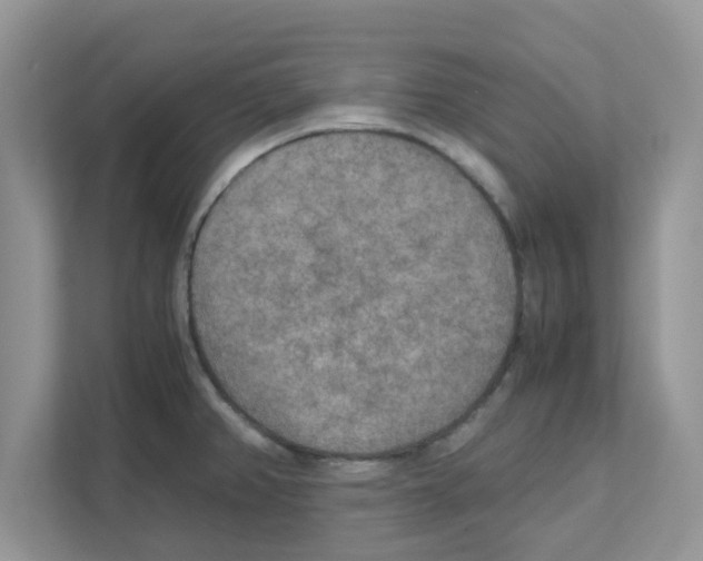 X0000110931382200907161530