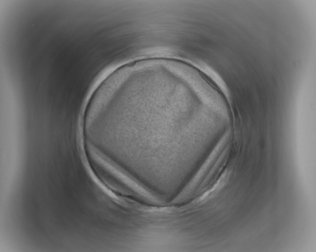 X0000110931389200907161530