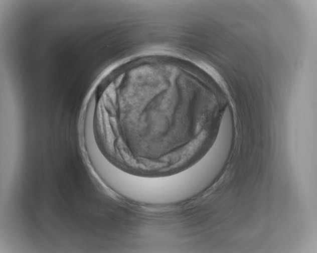 X0000110931392200907161530