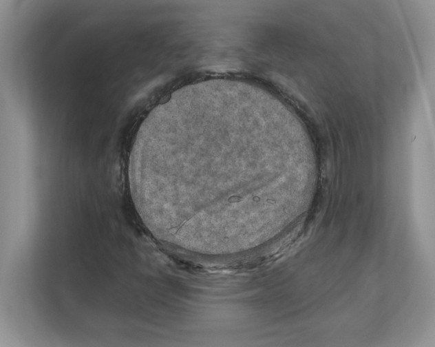 X0000110931398200907161530