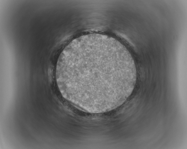 X0000110931399200907161530