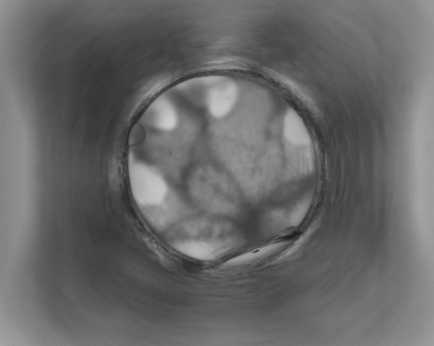 X0000110931405200907161530