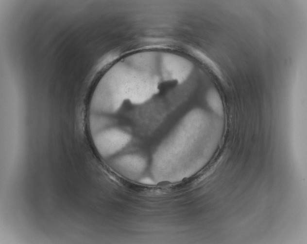 X0000110931411200907161530