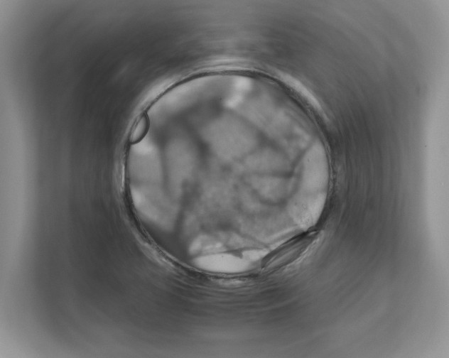 X0000110931413200907161530