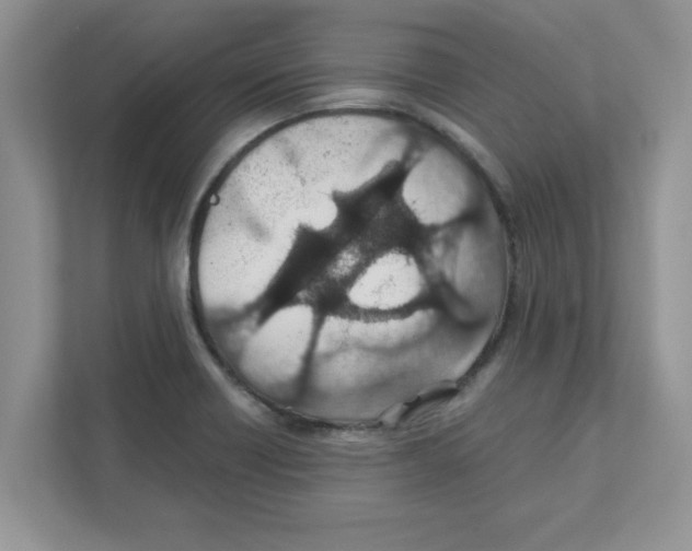 X0000110931418200907161530