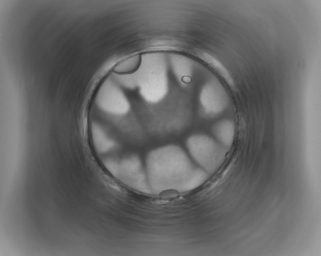 X0000110931419200907161530