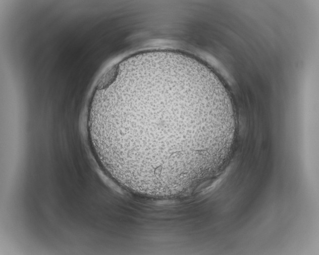 X0000110931421200907161530