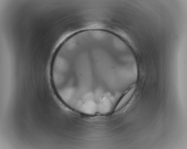 X0000110931422200907161530