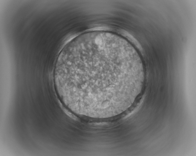 X0000110931425200907161530