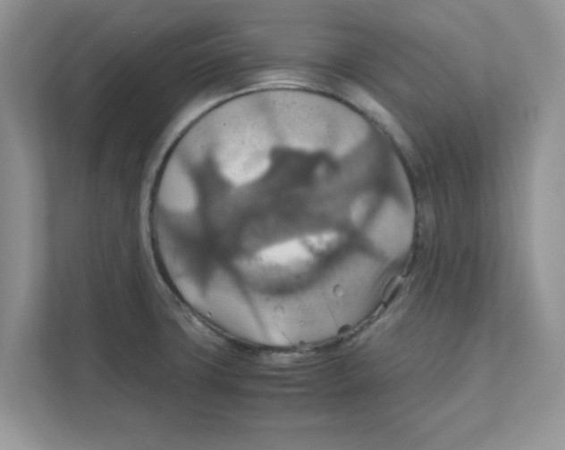 X0000110931427200907161530
