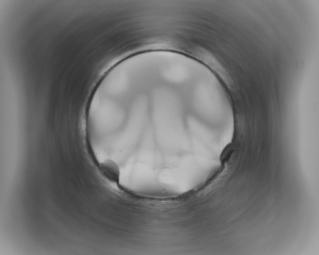 X0000110931428200907161530