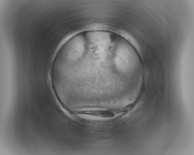 X0000110931429200907161530